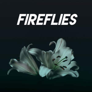 Listen to Fireflies song with lyrics from Vibe2Vibe