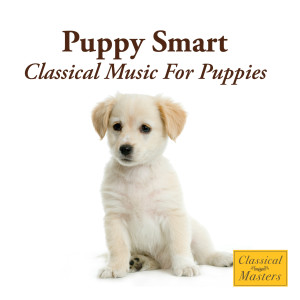 收聽St. Martin's Orchestra的Tchaikovsky: Swan Lake - Dance Of The Swans歌詞歌曲