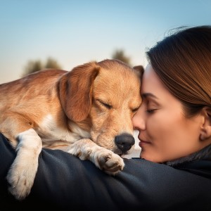 ดาวน์โหลดและฟังเพลง Mascota Relajado Ritmos Suaves พร้อมเนื้อเพลงจาก Melodías suaves para animales