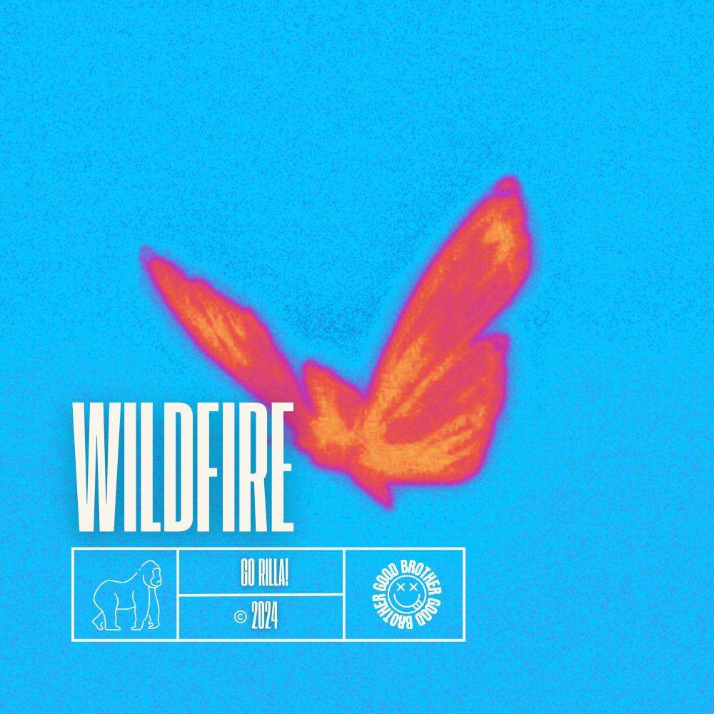 Wildfire (DnB)