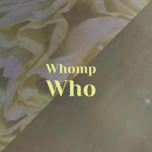 收听Shaon Scal的Whomp Who歌词歌曲