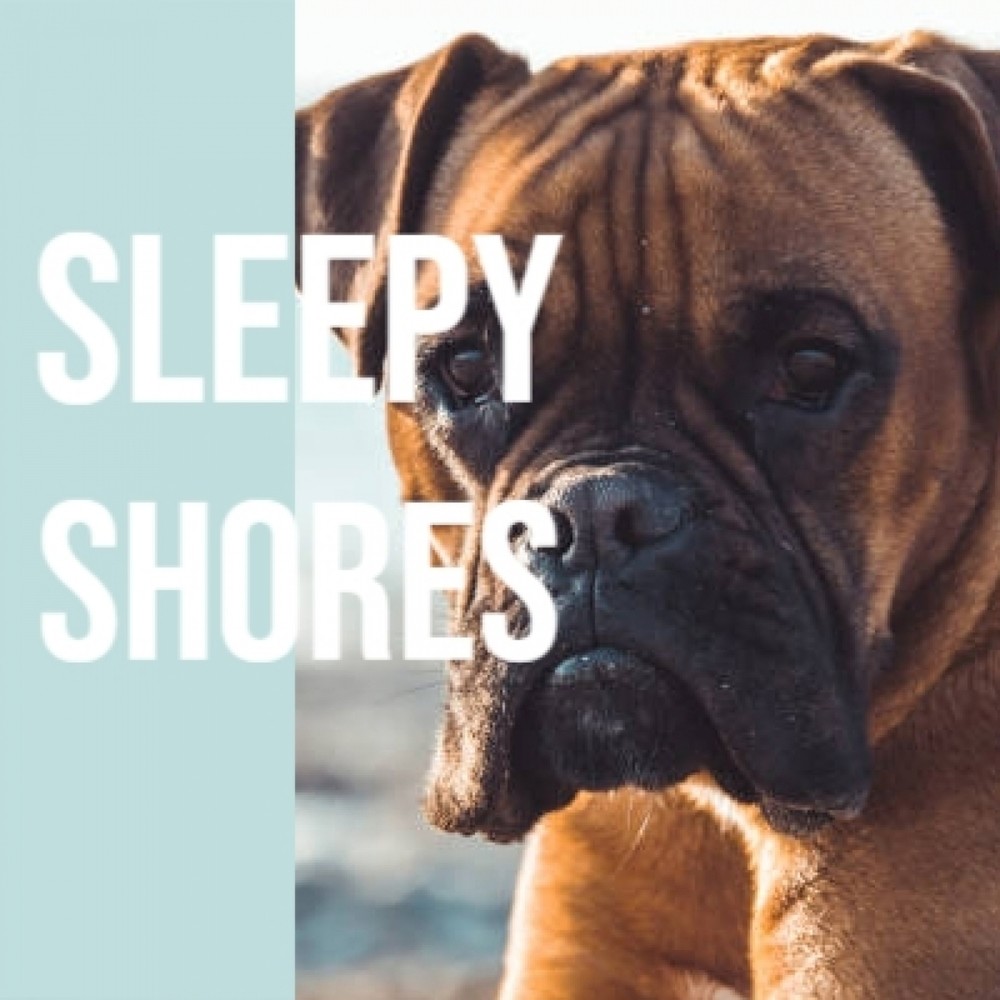 Sleepy Shores