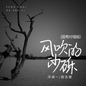 อัลบัม 风吹的沙砾 (国粤对唱版) ศิลปิน 洋澜一