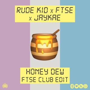 อัลบัม Honey Dew (FTSE Club Edit) ศิลปิน FTSE
