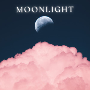 ดาวน์โหลดและฟังเพลง Moonlight พร้อมเนื้อเพลงจาก Bitcrvsh