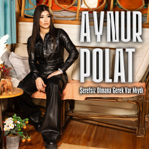 Album Şerefsiz Olmana Gerek Var Mıydı? from Aynur Polat