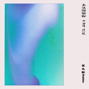 Album 太久没见你 (0.8降速版) from 张天枢