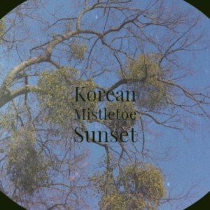 Dengarkan The Christmas Song lagu dari Looney Tunes dengan lirik