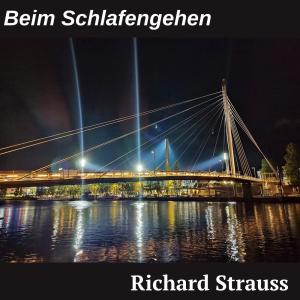 4 Letzte Lieder, TrV 296: 3. Beim Schlafengehen (Violin Solo) (feat. Richard Strauss)