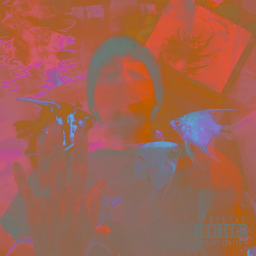 Polo (Explicit)