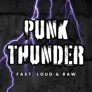 ดาวน์โหลดและฟังเพลง Something Else (Live) พร้อมเนื้อเพลงจาก Sid Vicious