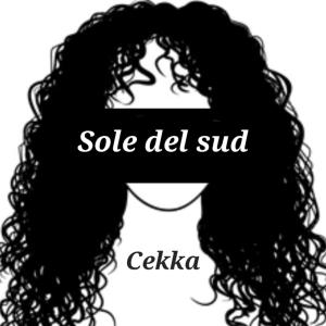 ดาวน์โหลดและฟังเพลง Sole del sud (Explicit) พร้อมเนื้อเพลงจาก Cekka