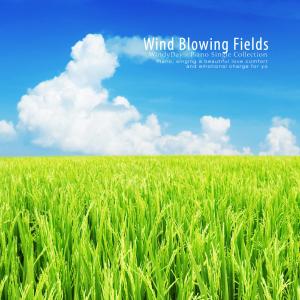 Wind Day的專輯A windy field