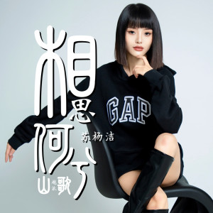 Album 是你是我是孽缘（调） from 苏杨洁