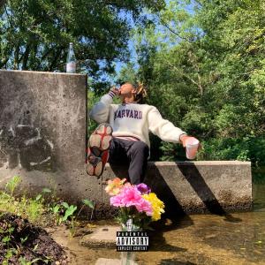Listen to Harvard (Explicit) song with lyrics from SageTwoFour