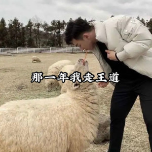 Dengarkan lagu 那一年我走王道 nyanyian 高金洋 dengan lirik