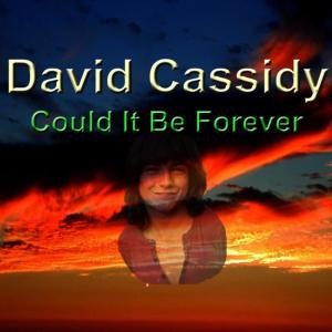 收聽David Cassidy的Could It Be Forever歌詞歌曲