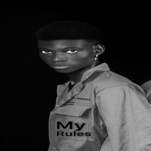 Danny Vibes的專輯My Rules