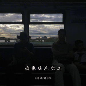 Album 你像晚风吹过 from 许佳年