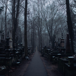 Listen to Graves (Explicit) song with lyrics from Safir