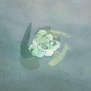 收听Olma的Minutes for the Moon歌词歌曲