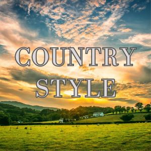 อัลบัม Country Style ศิลปิน 2strings