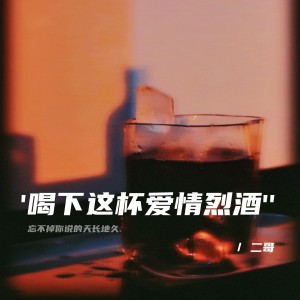 Listen to 喝下这杯爱情烈酒 (伴奏) song with lyrics from 二哥