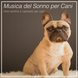 Album Musica del Sonno per Cani - ritmi lenitivi e calmanti per cani oleh Relax My Puppy