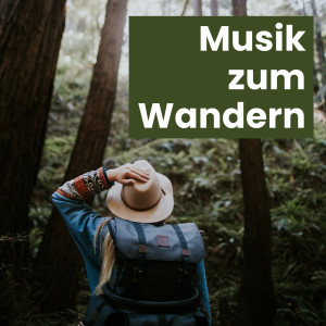 Various的專輯Musik Zum Wandern (Explicit)