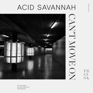ดาวน์โหลดและฟังเพลง Can't Move On พร้อมเนื้อเพลงจาก Acid Savannah
