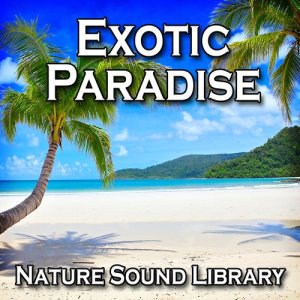 收聽Nature Sound Library的Wildlife in an Exotic Paradise for Meditation and Restful Sleep歌詞歌曲