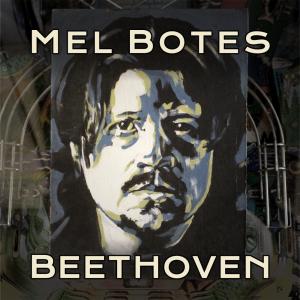 Mel Botes的專輯Symphony No 5