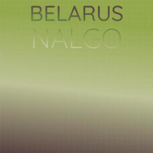 Various Artists的专辑Belarus Nalgo