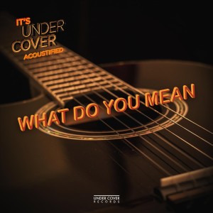 Under Cover Collective的專輯What Do You Mean