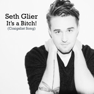 Listen to It's A Bitch! (Craigslist Song) song with lyrics from Seth Glier
