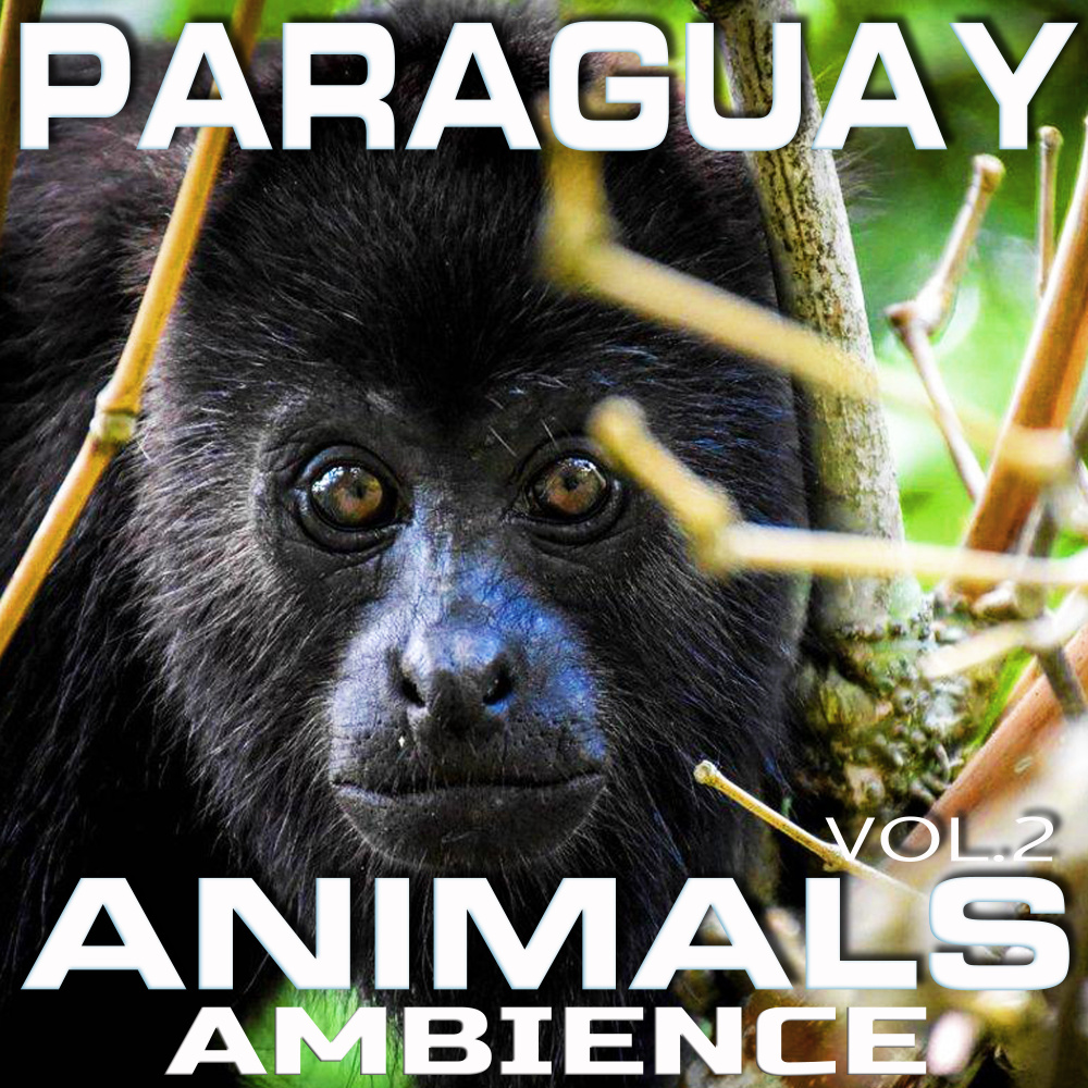Soothing Paraguay Nature