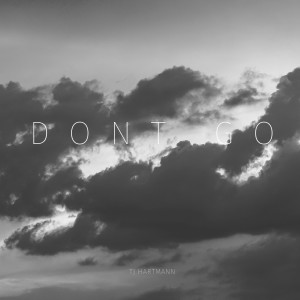 收聽TJ Hartmann的Don't Go歌詞歌曲