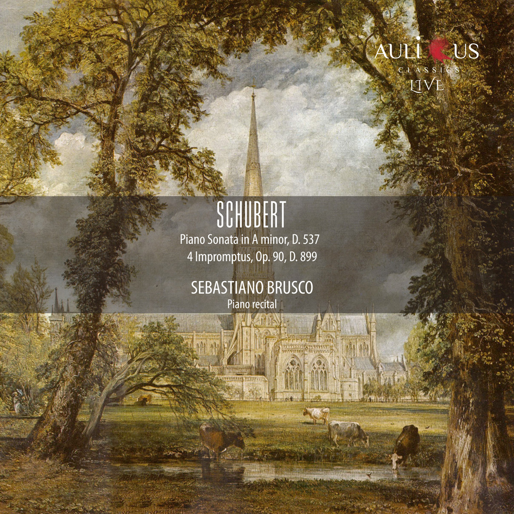 4 Impromptus, Op. 90, D. 899: IV. Allegretto