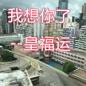 收聽皇福運的我想你了歌詞歌曲