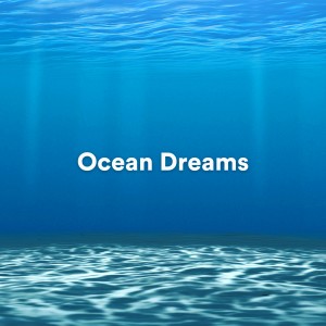 Vagues de l'océan的专辑Ocean Dreams