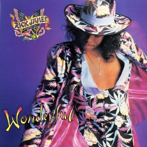 收聽Rick James的Wonderful歌詞歌曲