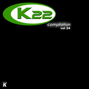 Listen to TRAIN WAS DUE (K22 extended) song with lyrics from Danap
