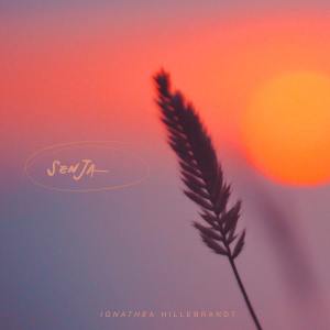 Listen to Senja (Instrumental) song with lyrics from Ignathea Hillebrandt