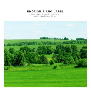Various Artists的專輯New Age Piano for Comfortable Sleep