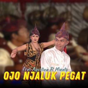 Album Ojo Njaluk Pegat from Erni Agustien