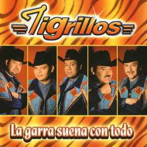 ดาวน์โหลดและฟังเพลง La cumbia cibernética พร้อมเนื้อเพลงจาก Los Tigrillos