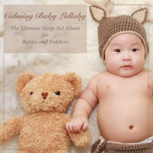 Calming Baby Lullaby: The Ultimate Sleep Aid Album for Babies and Toddlers dari Baby Sleep Dreams