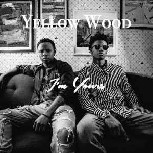 Listen to I'm Yours song with lyrics from Yellow Wood