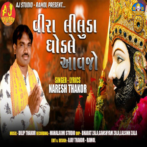 Listen to Vira Liluda Ghodle Aavjo song with lyrics from Naresh Thakor