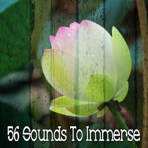 收听Yoga Music的Your Mind Matters歌词歌曲